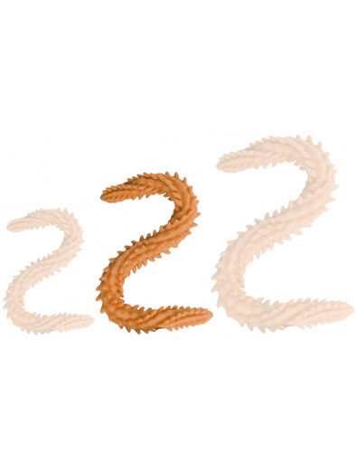 DoublePlayz Double Dildo Scolop Orange 50 cm Extra pitkä anaalidildo